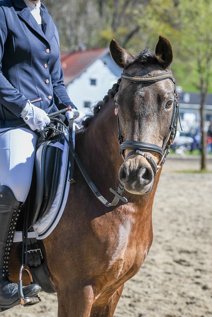 官方：CCTV5+转播今日国少vs斯里兰卡U17